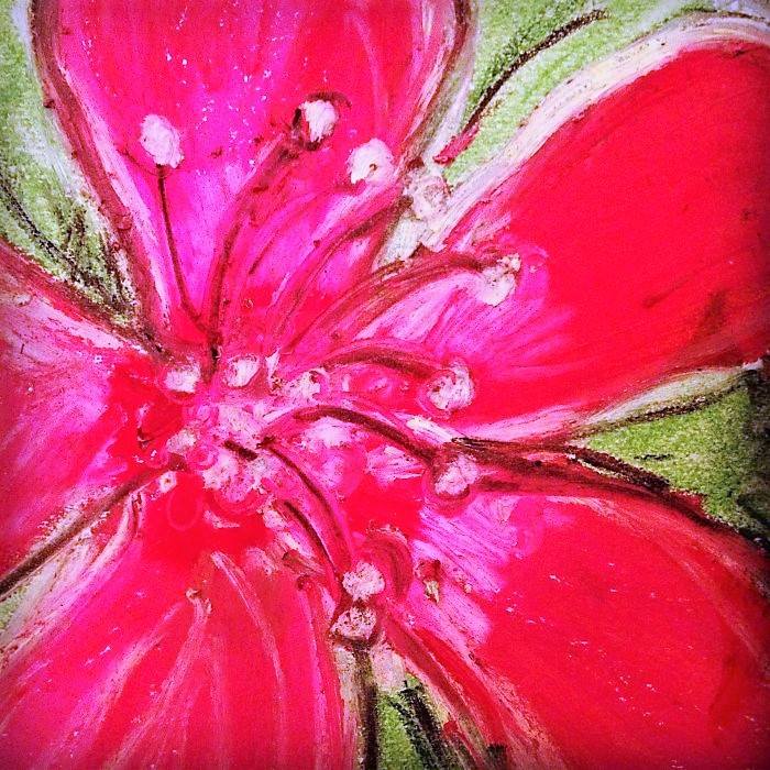 Pink Hibiscus Detail